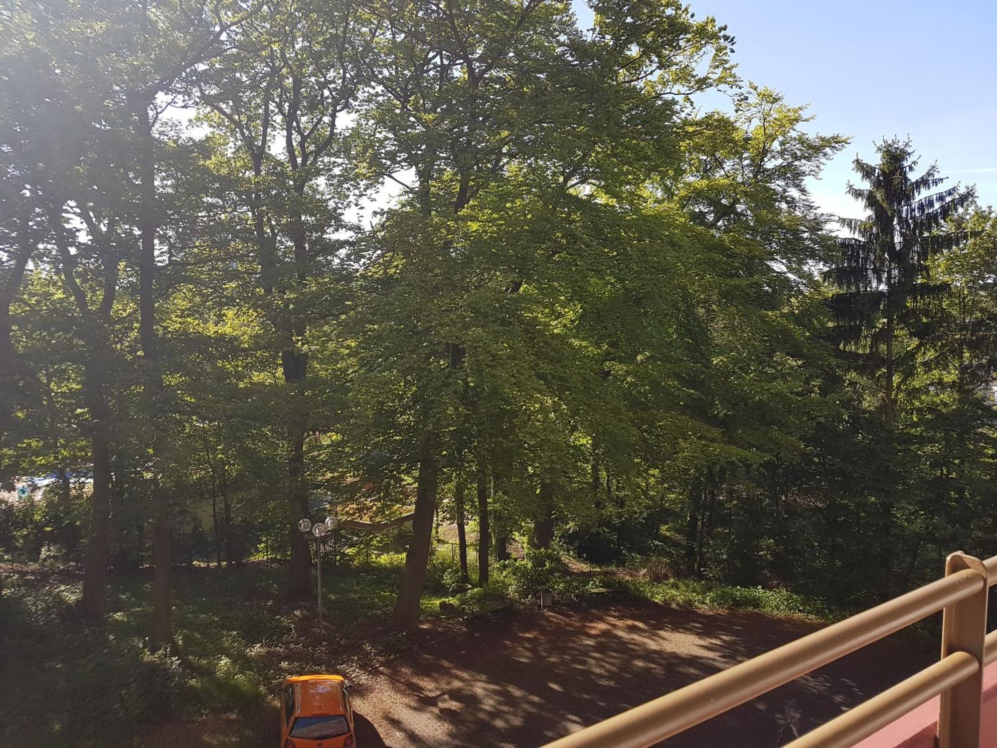 Apartment 707 Mit Pool Und Sauna Lahnstein Dış mekan fotoğraf
